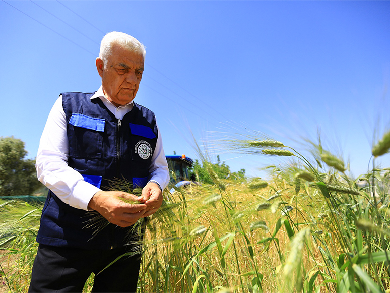 Muğla Büyükşehir Belediyesinden Çiftçiye Çatısız Eğitim Merkezi 