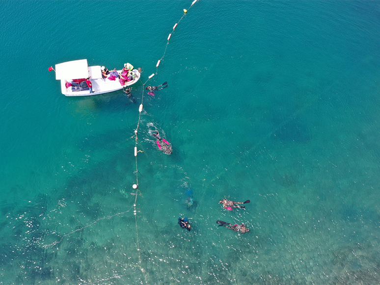 Dalgıçların Yaptığı Deniz Dibi Temizliğinde Bir Ton Atık Toplandı